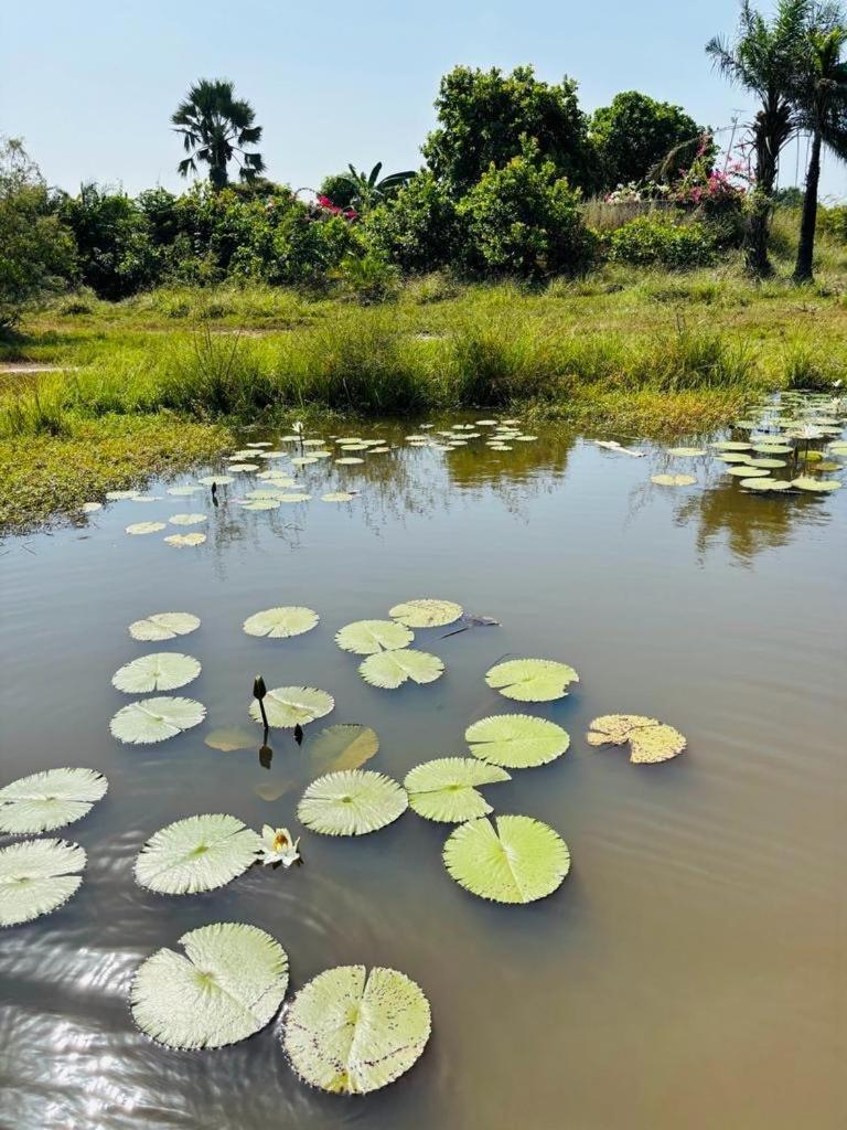 Heda House Bed & Breakfast Sanyang Ngoại thất bức ảnh